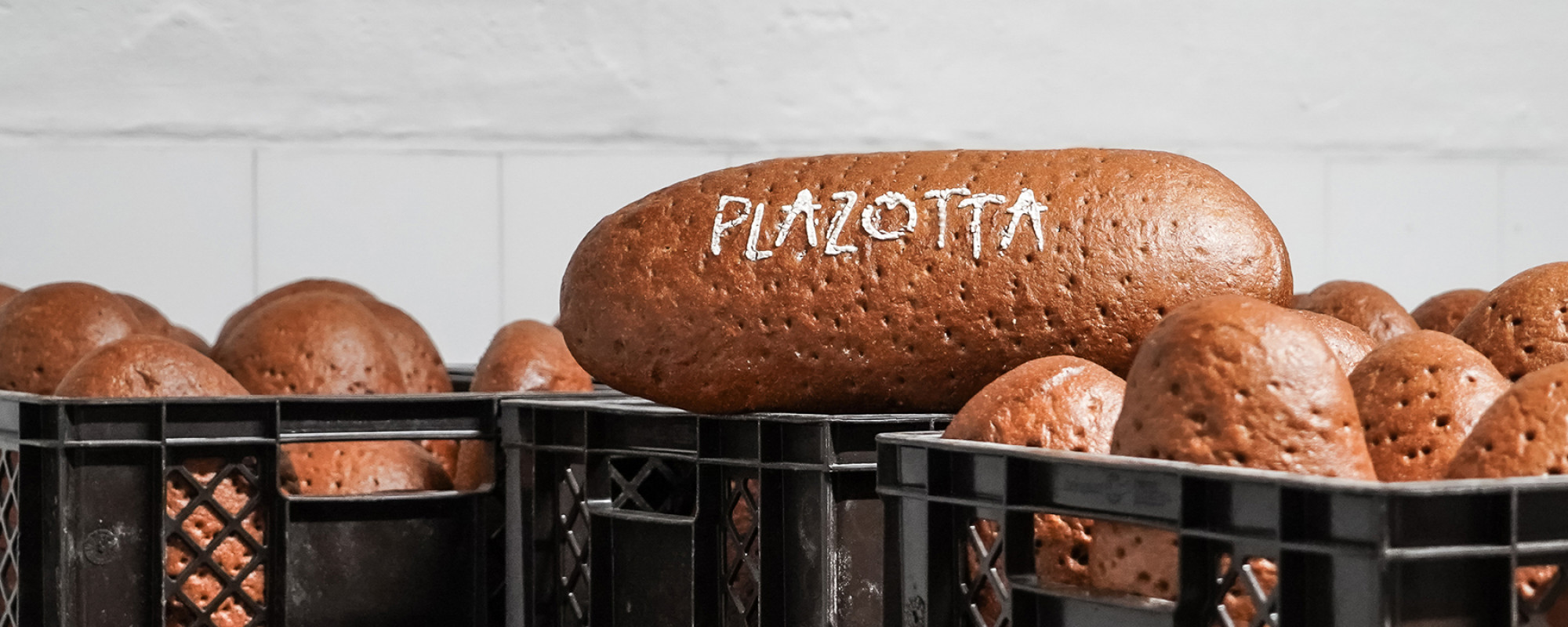 www.plazotta.it